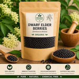 Op de afbeelding: Een verpakking Dwergvlierbessen, met het label "Organic Spice World". De afbeelding toont een houten lepel en kom gevuld met donkere bessen. Extra tekst benadrukt de biologische, natuurlijke en chemievrije kwaliteiten van het product.