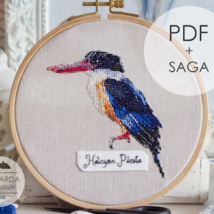 Puede incluir: Un bordado de punto de cruz de un pájaro, con cabeza negra, alas azules y pico rojo, en un aro de madera. Se muestra el texto "PDF + SAGA", junto con el nombre "Halcyon Pileata". También es visible el logotipo de Mansarda cross stitch.