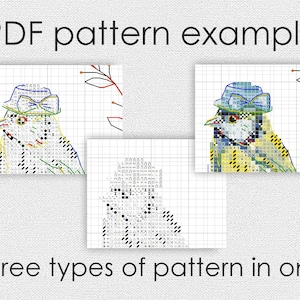 以下が含まれることがあります： 画像は、3種類の異なるパターンを持つPDFパターンの例を示しています。パターンには帽子をかぶった鳥が含まれており、テキストは「PDF pattern example: three types of pattern in one」です。