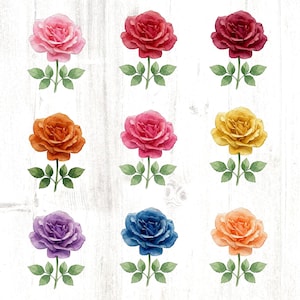 Single Stem Watercolor Rose Clipart Bundle | Pink, Red, Yellow Floral PNG (Digital Download)