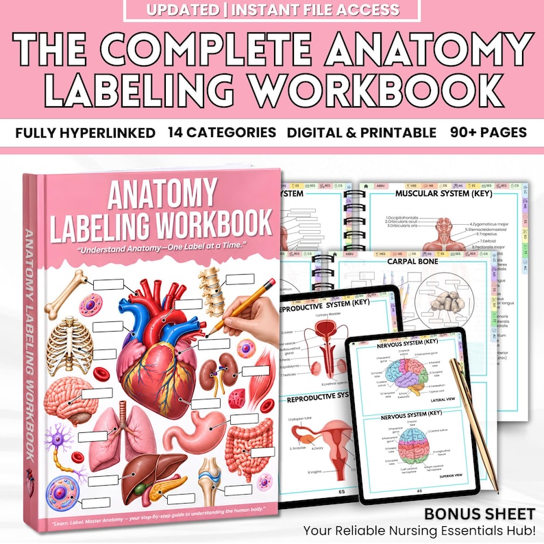 Anatomy Labeling Workbook With Answer Key | Human Body Systems ...