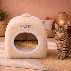May include: A beige cat bed with a round opening and the name "HAZEL" on the front. A brown and black tabby cat sits next to the bed on a woven mat. The cat bed is on a light-colored rug.