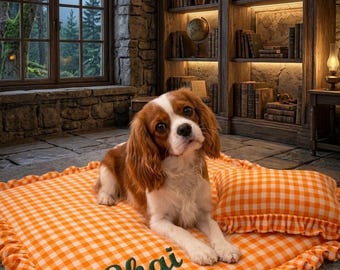 Personlig gingham-bädd för husdjur med volanger – Broderad namnkudde