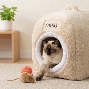 以下が含まれることがあります： 前面に「OREO」という名前が入ったベージュ色の猫用ベッド。茶色と白の毛並みの猫がベッドの中にいて、片方の足を伸ばしています。小さなオレンジ色の毛糸玉と、おもちゃのネズミがベッドの前にあります。