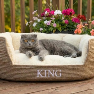 以下が含まれることがあります： グレーのスコティッシュフォールドの猫が、織りの外側とクリーム色の内側を備えた快適なペットベッドでくつろいでいます。「KING」の文字が刺繍されています。背景には鉢植えのカラフルな花があります。