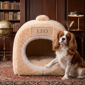 以下が含まれることがあります： 白いトリムと「LEO」という名前のラベルが付いたベージュの犬用ベッド。茶色と白の毛並みのキャバリア・キング・チャールズ・スパニエルがベッドの隣に座り、片方の足を上げています。シーンは図書館に設定されています。