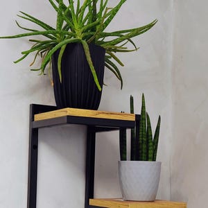 Puede incluir: Estantería de dos niveles de metal negro y madera con dos plantas en macetas. La estantería superior contiene una planta de aloe vera en una maceta negra. La estantería inferior tiene una planta de serpiente en una maceta blanca.