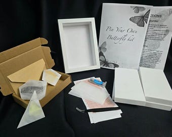 Kit para crear tu propia mariposa / Entomología, Taxidermia