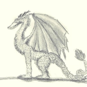 Può includere: Un bozzetto a matita di un drago di profilo, con squame dettagliate, ali e un lungo collo. Il drago è raffigurato in piedi su quattro zampe, con la coda arricciata. Il disegno è in tonalità di grigio e nero su sfondo color crema.