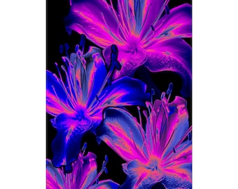 Neon Floral Art Rolled Poster | Vibrant Pink Blue Flower Print