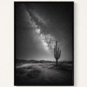 May include: Monochrome photograph of a desert scene at night. A large cactus is silhouetted against a starry sky, with the Milky Way visible. A path leads towards the cactus in the foreground.