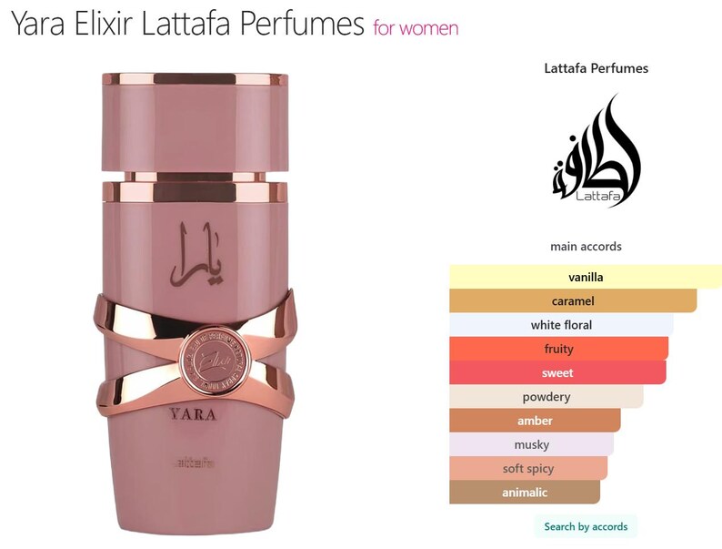 K&ouml;nnte beinhalten: Eine wei&szlig;e Keramik-Tasse mit schwarzem Henkel und dem Text "But First, Coffee" in schwarzer, handschriftlicher Schrift. Die Tasse steht auf einer wei&szlig;en Oberfl&auml;che.