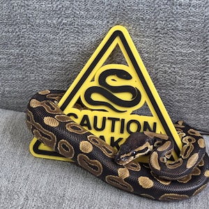 May include: A ball python rests near a yellow triangular sign with a black snake graphic and the word "CAUTION". The snake has a brown and tan pattern. The sign is on a gray surface.
