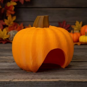 May include: A bright orange pumpkin-shaped structure with a brown stem and a large, arched opening on the front side. The surface of the pumpkin features vertical ridges and a smooth, matte texture, creating a rounded, hollow form.
