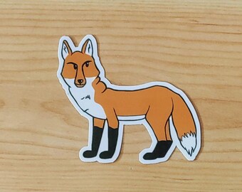 Fox head turn