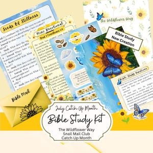 May include: A Bible study kit featuring printed sheets with sunflower and butterfly illustrations, text including Seeds Of Stillness, Mini Devotional, and Bible Study Questions, and a yellow envelope labeled Bible Mail with a sunflower graphic.