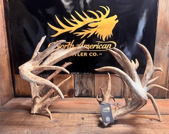 Riesige Weißwedelhirschschuppen