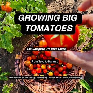 Tomato Growing Guide PDF, How to Grow Big Tomatoes, Beginner Vegetable Garden Ebook, Companion Planting Pest Control Seed Saving Digital
