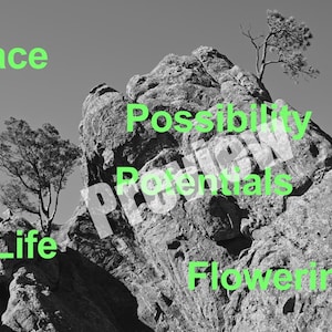 May include: Black and white photograph of a rocky mountain with small trees. The word "Place" is written in green at the top left. Other green words include "Life", "Possibility", "Potentials", and "Flowering".