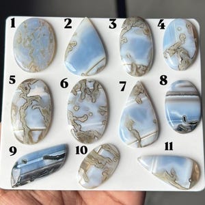 Op de afbeelding: Elf gepolijste blauw-witte agaat cabochons gerangschikt op een wit displaybord, genummerd van 1 tot 11. Elke steen heeft unieke dendritische of mosachtige insluitingen in beige en bruin, met gladde, ronde of druppelvormige contouren.