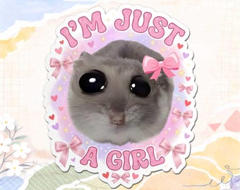 Funny Hamster Sticker, I’m Just A Girl Meme Sticker, Cute Sad Hamster, Waterproof Laptop Sticker, Funny Animal Meme Gift WaterBottle Sticker