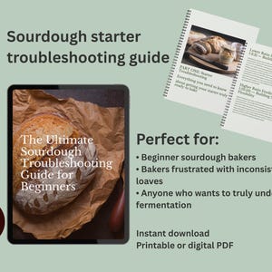 Guida alla risoluzione dei problemi del lievito madre per principianti
