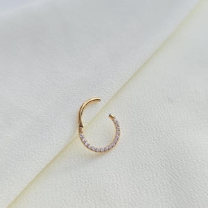 Titan Piercing Clicker, G23 Titanium, ASTM F-136, silberfarben, Septum Ring, Nasenring, Segmentring mit Scharnier, High-End Schmuck.