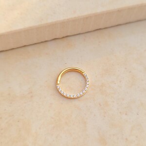 Titan Piercing Clicker, G23 Titanium, ASTM F-136, silberfarben, Septum Ring, Nasenring, Segmentring mit Scharnier, hypoallergen, High-End Schmuck.