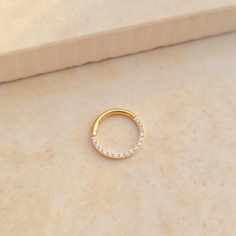 Titan Piercing Clicker, G23 Titanium, ASTM F-136, silberfarben, Septum Ring, Nasenring, Segmentring mit Scharnier, hypoallergen, High-End Schmuck.
