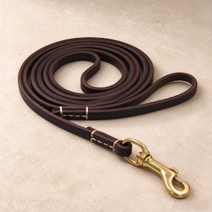 May include: A dark brown leather dog leash coiled in a circular shape. The leash features a polished brass swivel snap hook at one end and is secured with light-colored stitching at the connection points, providing a durable and functional design.