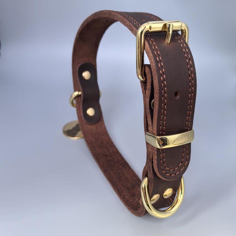 May include: A dark brown leather collar featuring gold-toned metal hardware, including a buckle, a D-ring, and rivets. The collar has visible stitching along the edges and a circular gold-toned metal tag attached to the side of the strap.