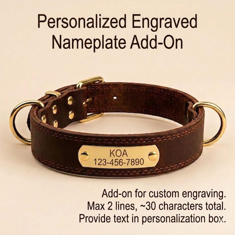 Custom dark brown stitched leather dog collar featuring a brass nameplate engraved with "KOA" and a phone number. Text overlay in the bottom right corner explains custom engraving add-on details.