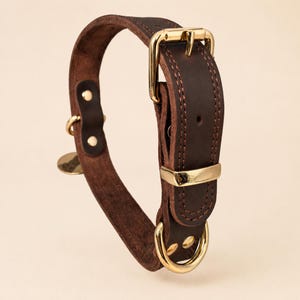 May include: A dark brown leather collar featuring gold-toned metal hardware, including a sturdy buckle, a D-ring for leash attachment, and a small circular tag. The collar is accented with visible stitching along the edges and secure rivets.