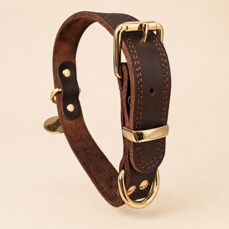 May include: A dark brown leather collar featuring gold-toned metal hardware, including a sturdy buckle, a D-ring for leash attachment, and a small circular tag. The collar is accented with visible stitching along the edges and secure rivets.