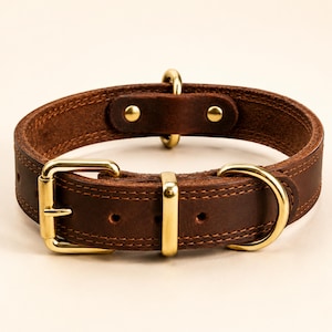 Könnte beinhalten: Ein braunes Lederhalsband für Hunde mit goldfarbener Hardware. Das Halsband hat eine Schnalle, einen D-Ring und eine Schlaufe zur Befestigung der Leine. Das Leder ist mit einem Kontrastfaden genäht, und die Hardware ist sicher befestigt.