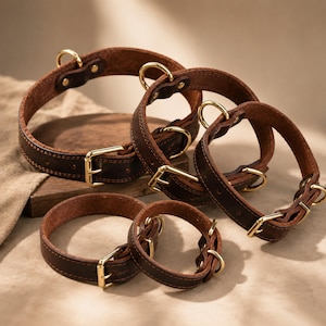 May include: A collection of five dark brown leather collars of varying sizes, each featuring gold-toned metal buckles, D-rings, and reinforced stitching along the edges. The collars are arranged in a group, showcasing the smooth texture.