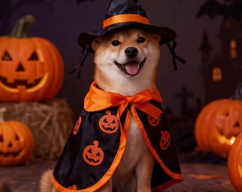 Pet Halloween Costume, Pumpkin Witch Cape and Hat, Cat Costume for Kittens and Small Dogs, Spooky Pet Outfit, Halloween Pet Gift