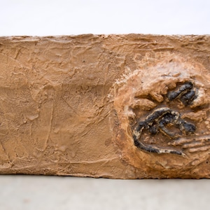 Handcrafted Leopard Gecko Hide | Basalt-Lined Multi-Contour Tunnel | Naturalistic Reptile Decor | Mimic Habitat