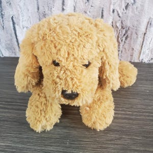 May include: A plush, golden-brown dog toy with a soft, textured appearance. The toy features black eyes and a black nose, with floppy ears and a relaxed pose. This stuffed animal is designed to resemble a Golden Retriever.