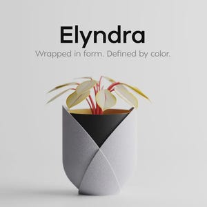 Op de afbeelding: Een moderne, geometrische plantenbak met een kleine plant. De plantenbak is grijs met een zwart interieur en een gouden rand. De plant heeft lichtgroene bladeren en rode stelen. Tekst op de afbeelding luidt "Elyndra" en "Wrapped in form. Defined by color."