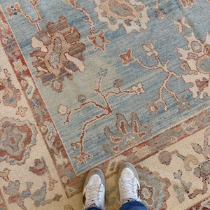 May include: A large area rug featuring a light blue field with a repeating floral and vine pattern in shades of terracotta, cream, and muted brown. The rug has a wide border with intricate geometric and botanical motifs in matching colours.