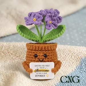 Gehäkelter Mini-Blumen-Blumentopf, handgefertigtes, durchdachtes Geschenk und Dekor mit Message-Karte