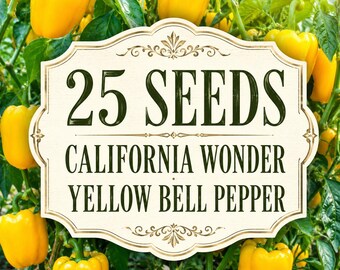 25 California Wonder Yellow Bell Pepper Seeds | Heirloom Non-GMO Sweet Capeium Annuum Vegetable Seeds for Planting