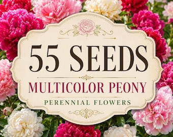 55 Multicolor Peony Seeds | Heirloom Perennial Flower Mix (Cottage Garden)