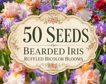 50 Bearded Iris Seeds – Ruffled Bicolor Iris Germanica – Perennial Garden Flower – Cottage Bloom Potential