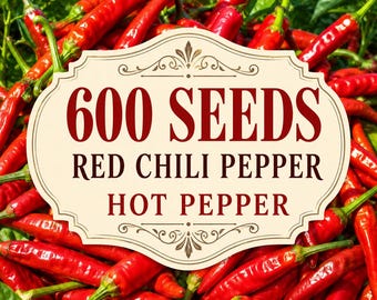 600 Red Chili Pepper Seeds | Heirloom Hot Capsicum Annuum