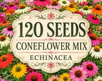 120 Coneflower Seeds Mix, Echinacea Perennial Blooms, Pollinator Garden (Mixed Colors)