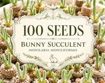 100 Monilaria moniliformis Seeds – Bunny Succulent, Rabbit Ear Plant (Count: ~100)