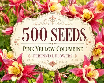 500 Pink Yellow Bicolor Columbine Seeds, Perennial Aquilegia Flowers (Seeds Only)