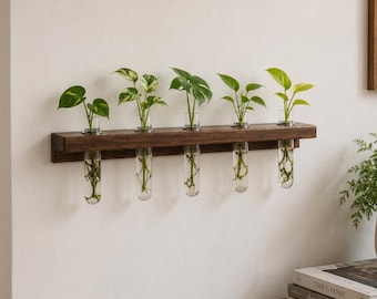 Vermeerderingsstation voor Peruaanse walnoten | 45 cm wandgemonteerd plantenrek